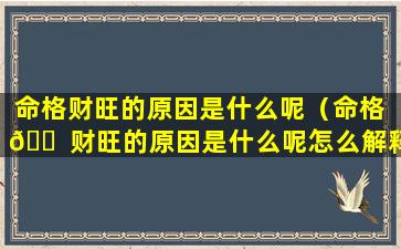 命格财旺的原因是什么呢（命格 🐠 财旺的原因是什么呢怎么解释）